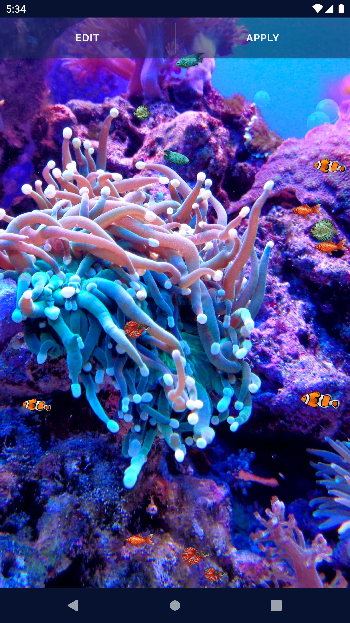Ocean Fish Live Wallpaper 4K screenshot