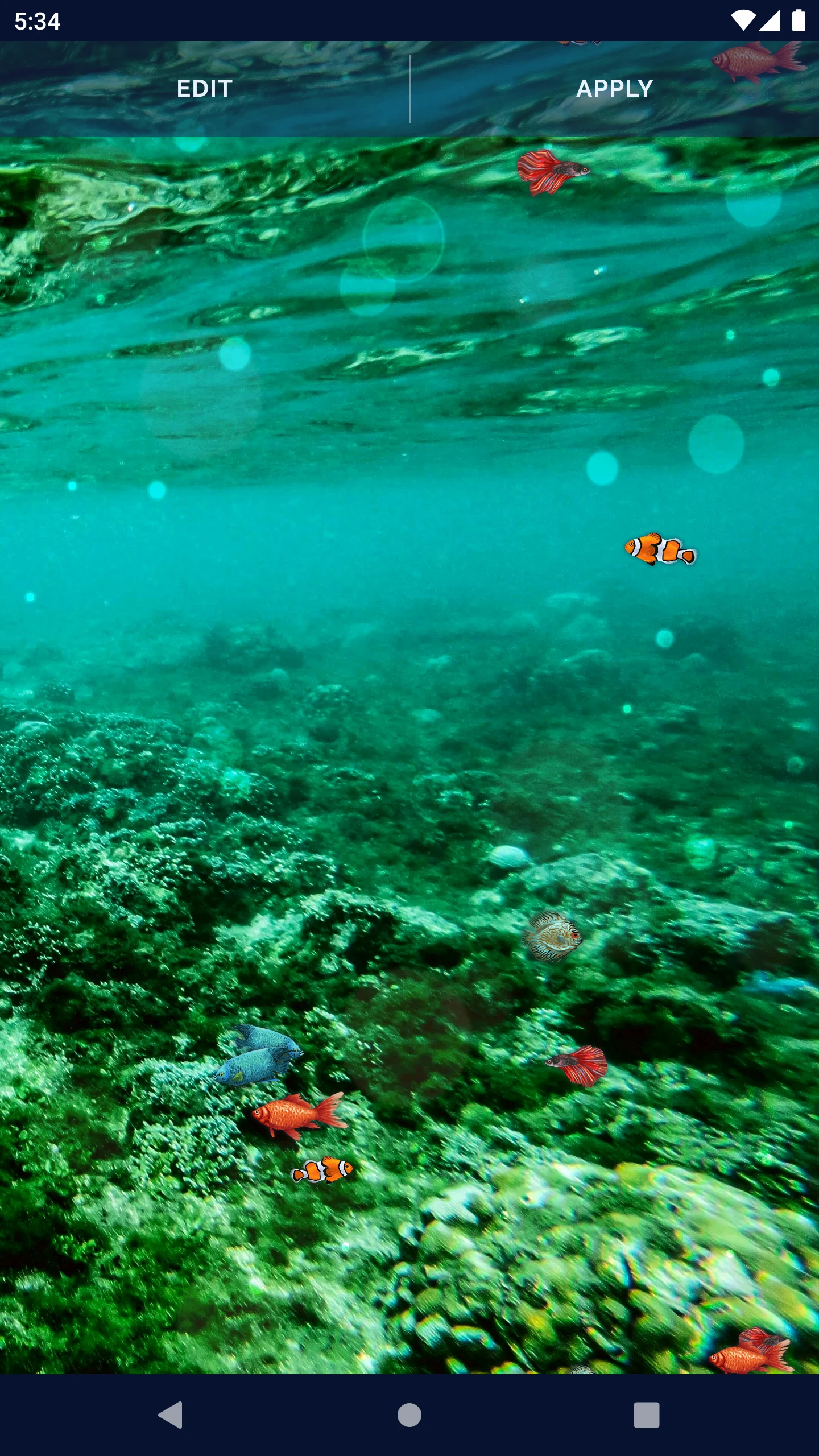 Ocean Fish Live Wallpaper 4K screenshot