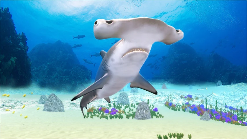 The Hammerhead Shark screenshot