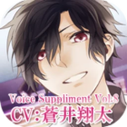 Voicesupplement-series2- icon