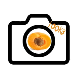 Apricamera 100KB Compress Cam icon