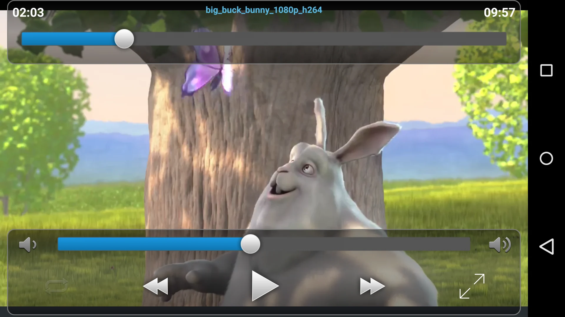 VLC Streamer Lite screenshot