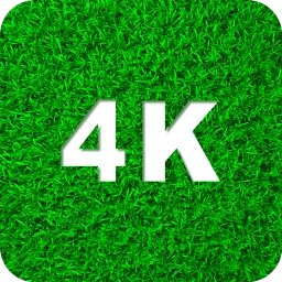 Ícone de Papéis de parede verdes 4K