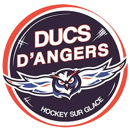Ikon Ducs d'Angers