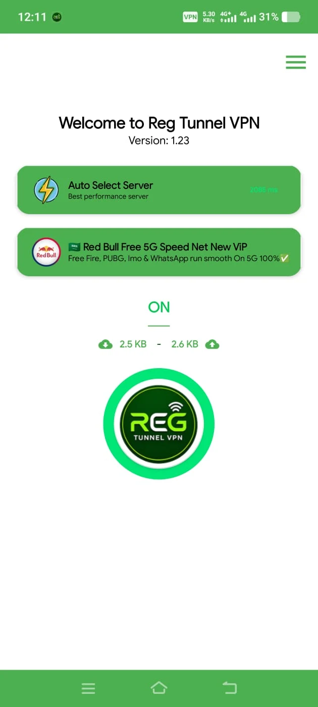 Reg Tunnel VPN screenshot