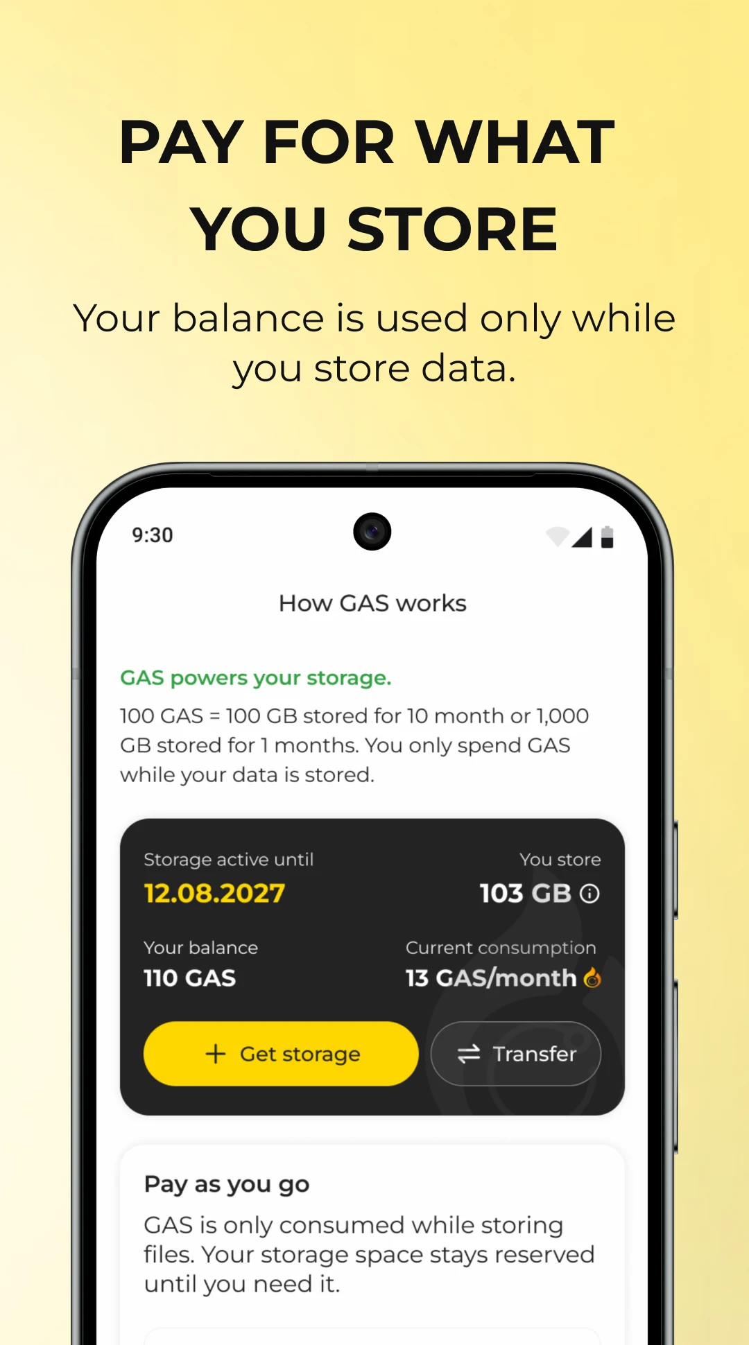 DeNet: Private Cloud Storage screenshot