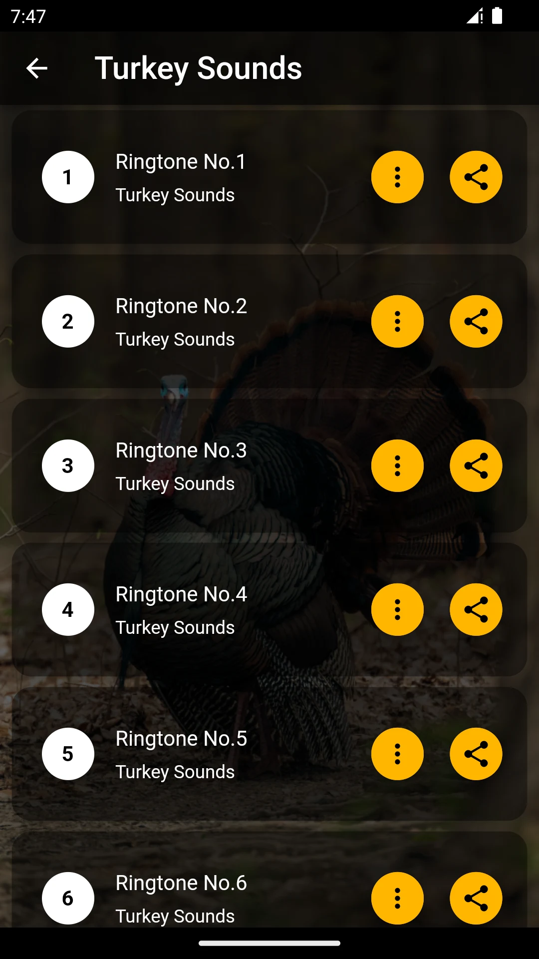 Turkey Ringtones screenshot