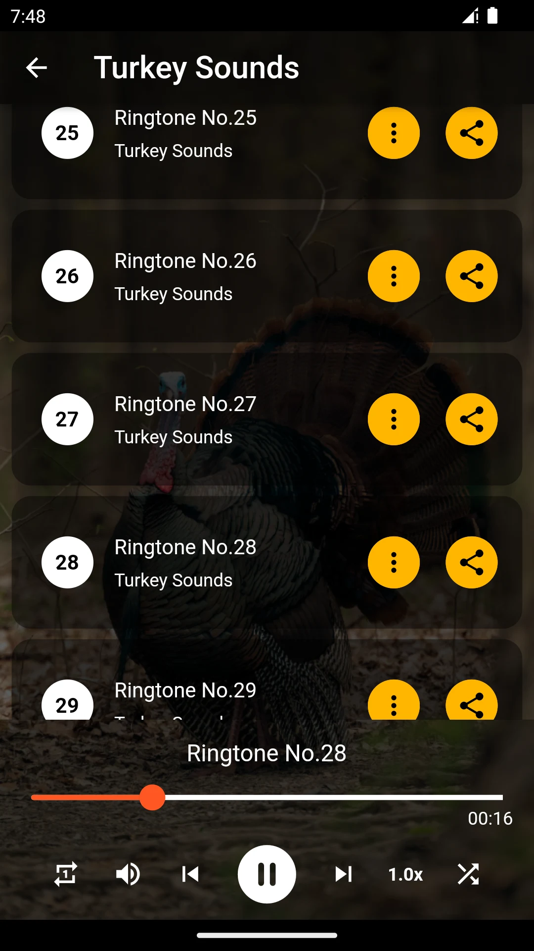 Turkey Ringtones screenshot