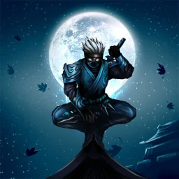 Ikon Ninja War: Shadow Adventures