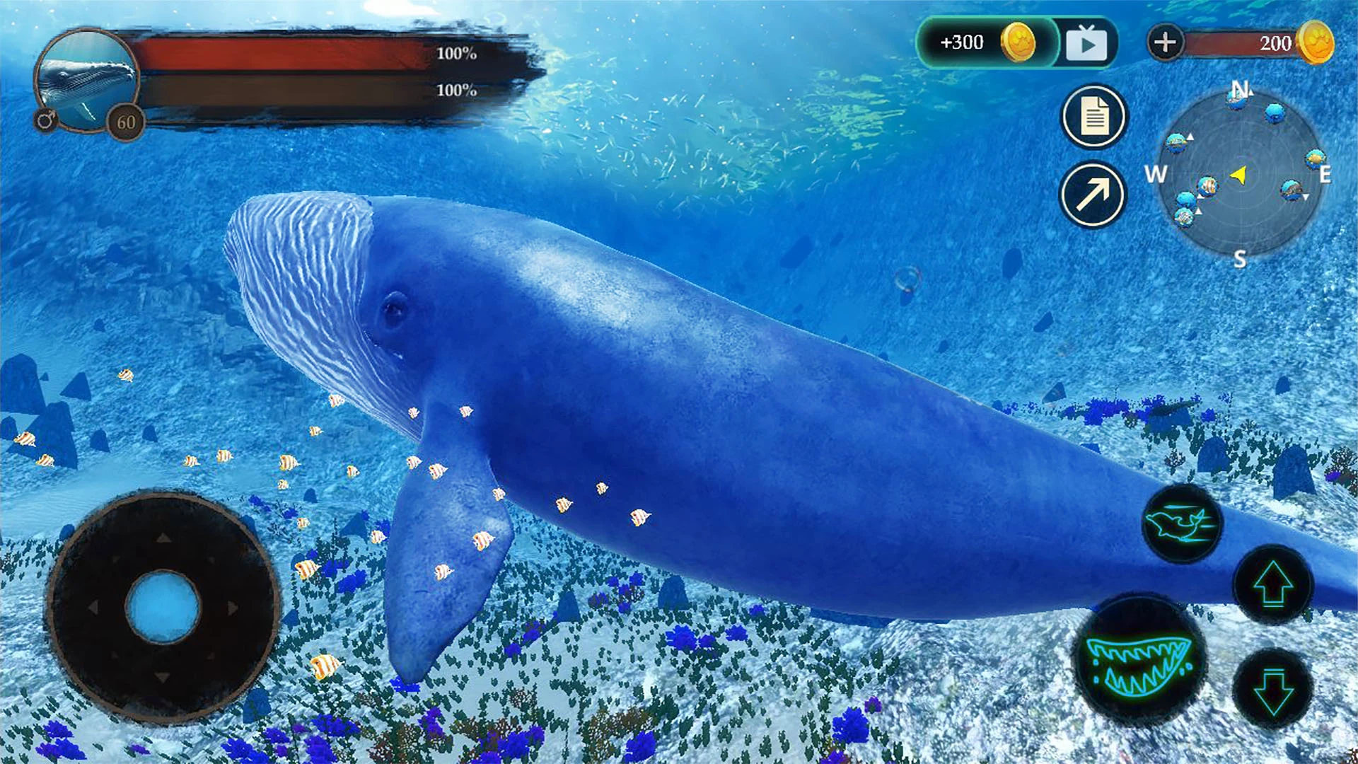 The Blue Whale screenshot