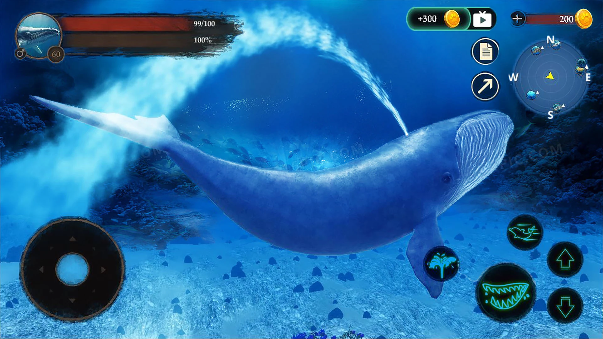 The Blue Whale screenshot