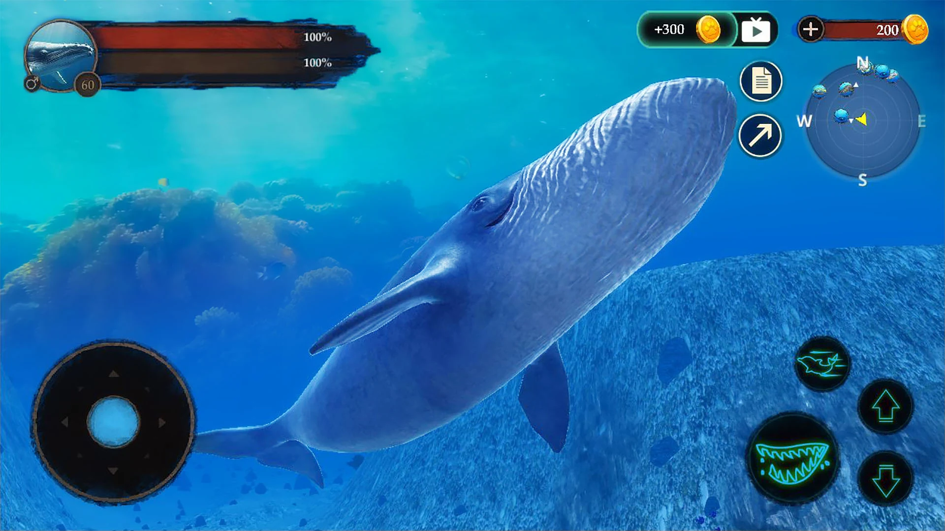 The Blue Whale screenshot