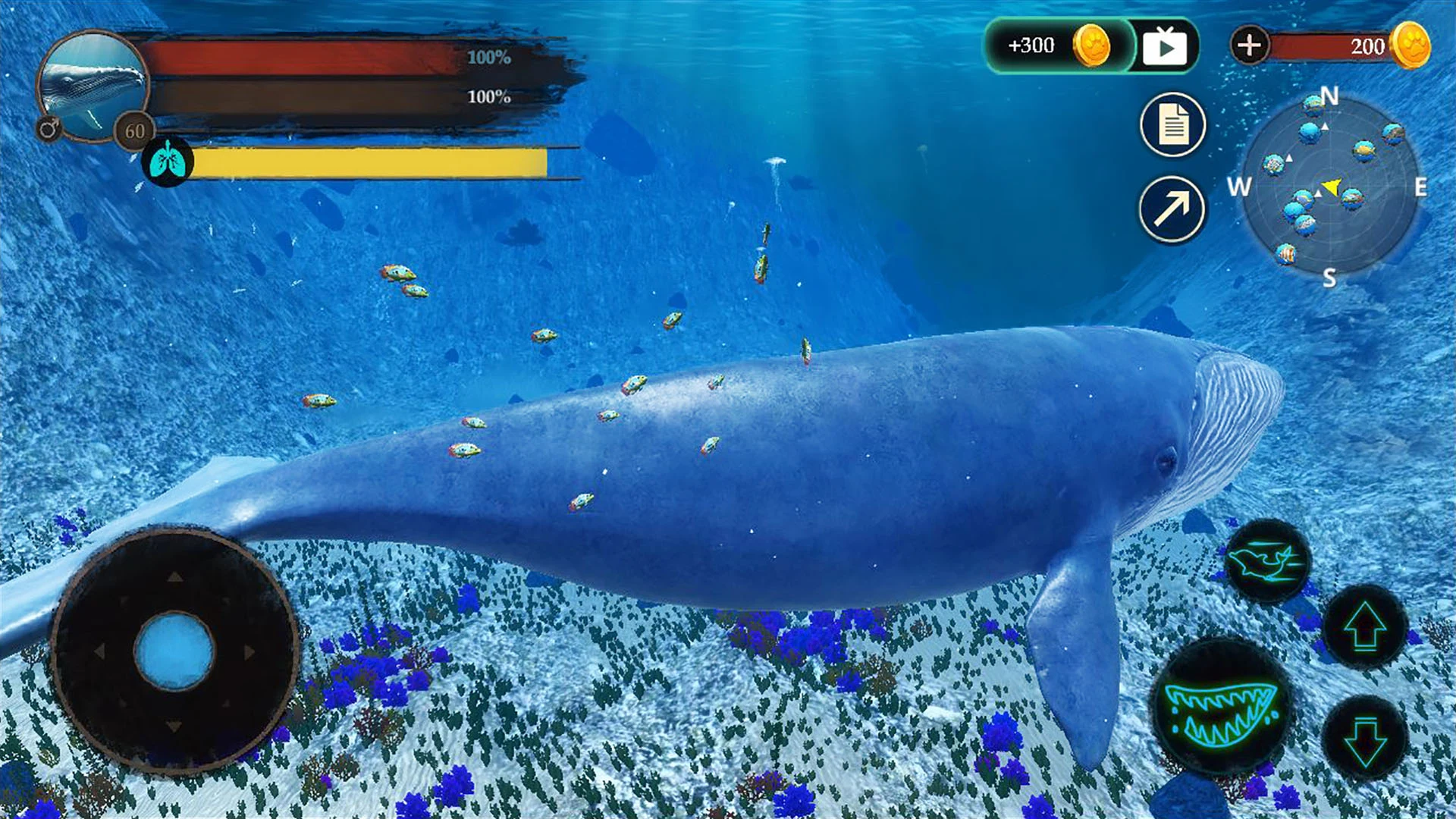 The Blue Whale screenshot