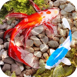 3D Fish Tank Live Wallpaper 아이콘