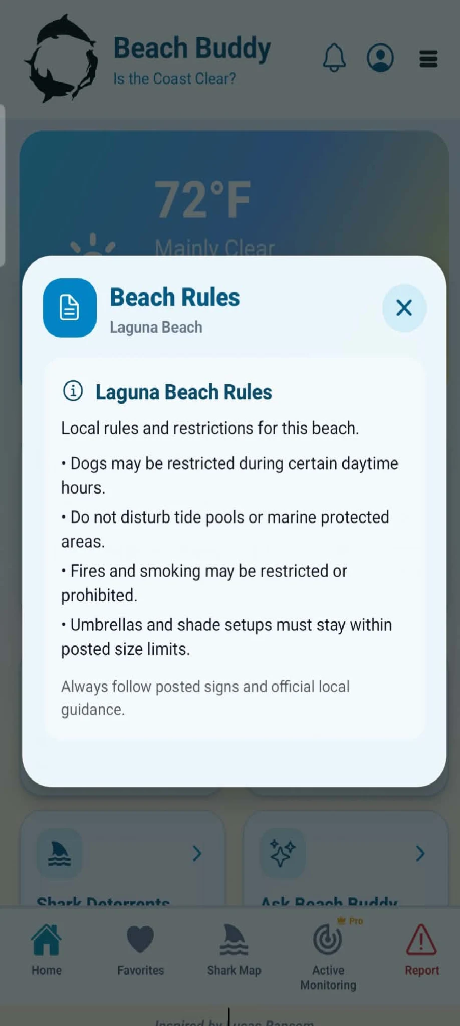 Beach Buddy screenshot