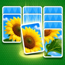 Jigdrop Match-Solitaire Puzzle simgesi