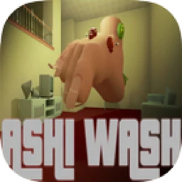 Ashi Wash icon