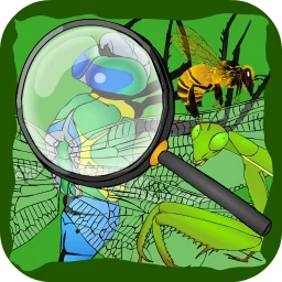 Hidden Insects 아이콘