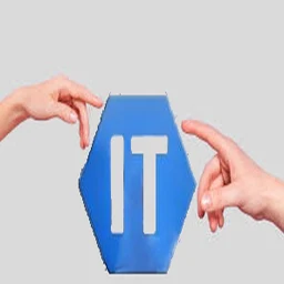 Ícone de Expert system for IT
