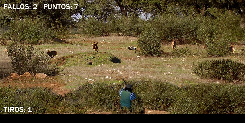 Cazando conejos screenshot