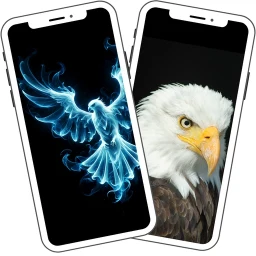 Eagle Wallpaper