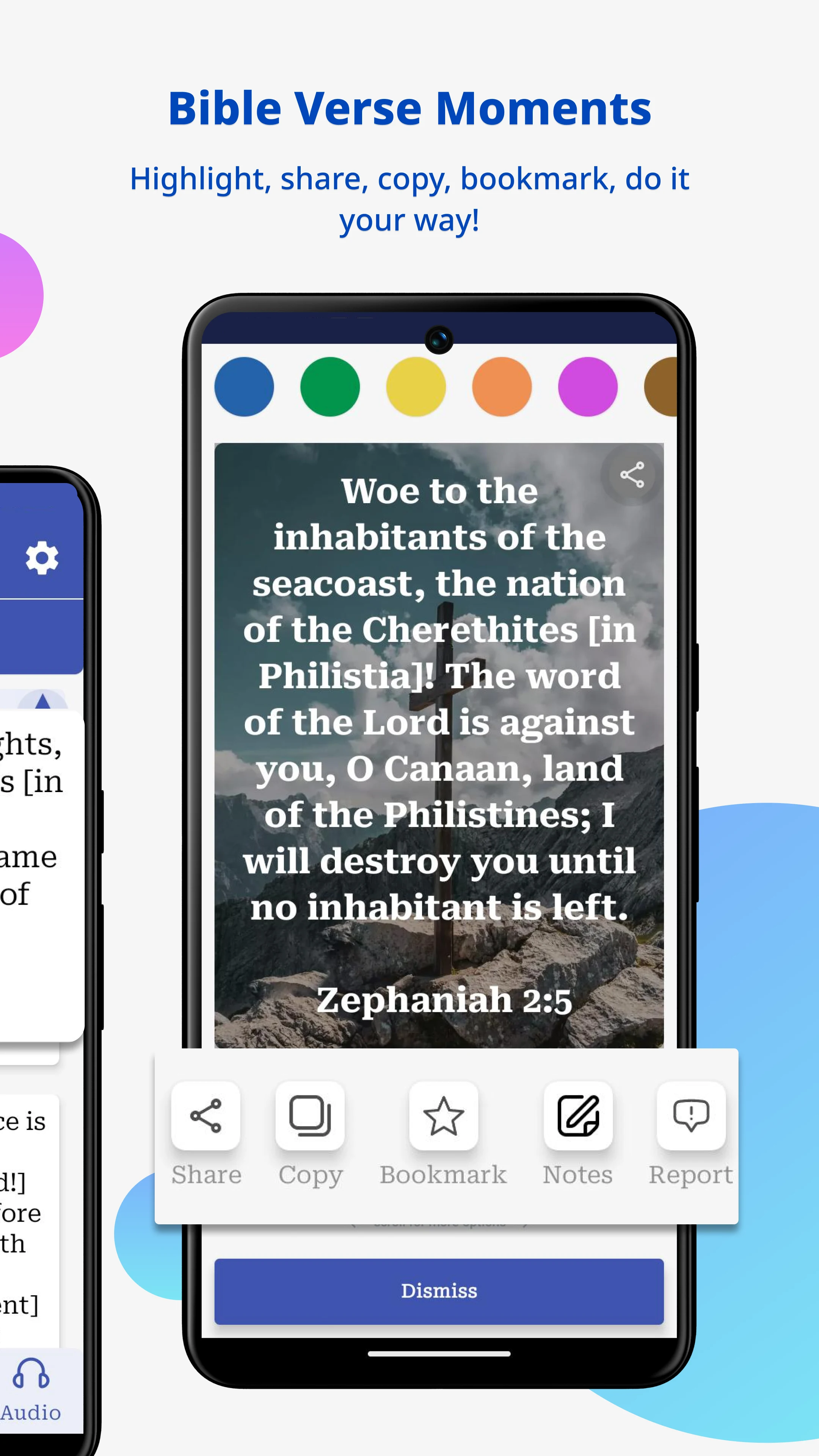 Amplified Bible Commentary screenshot