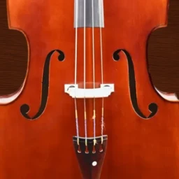 أيقونة Professional Double Bass