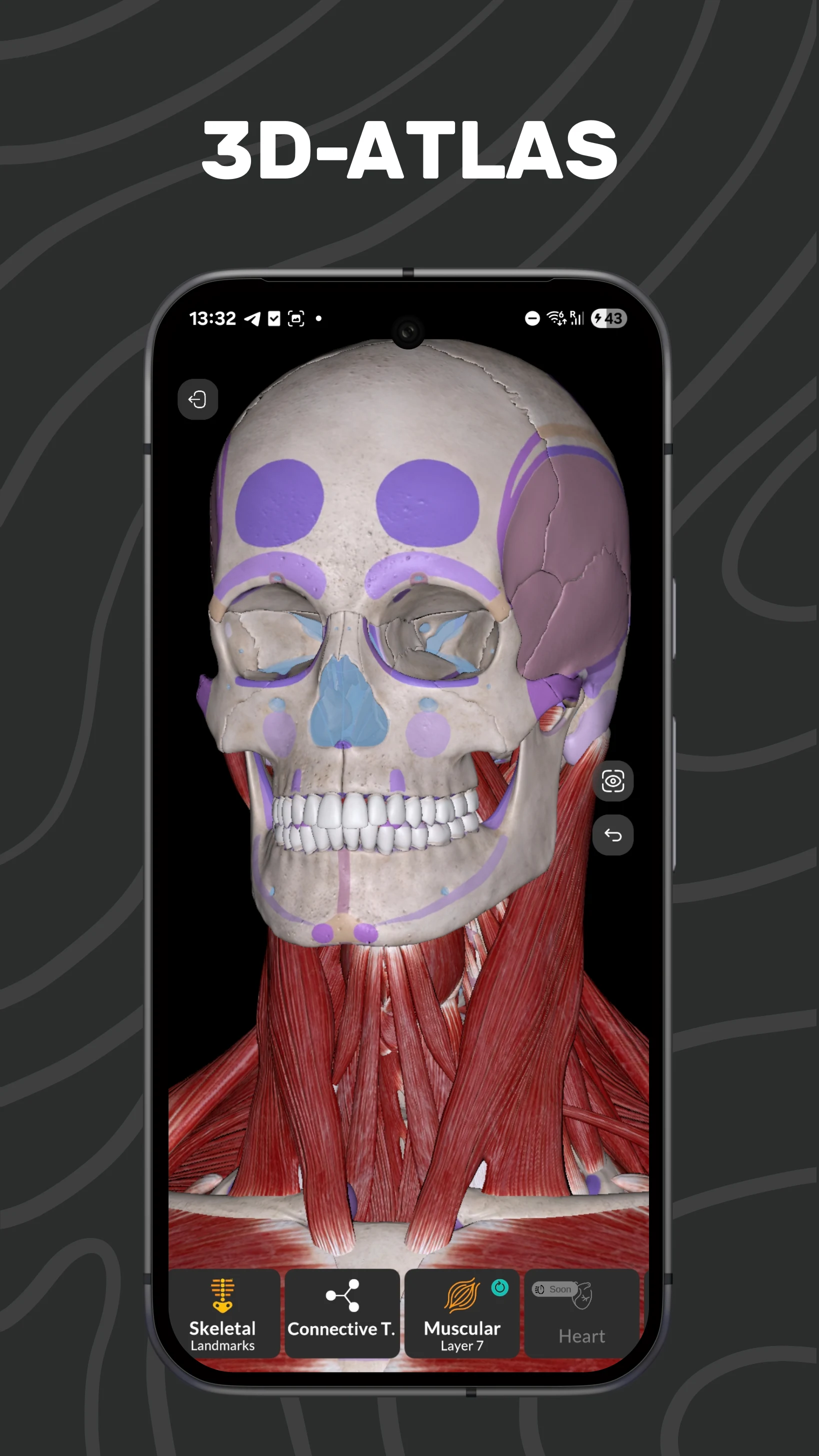 Easy Anatomy 3D screenshot