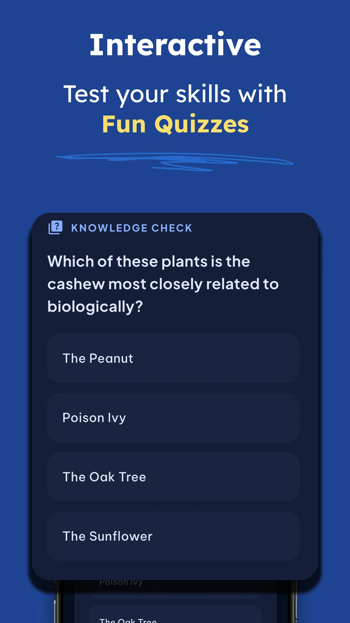 Gekno: Daily Micro Learning screenshot