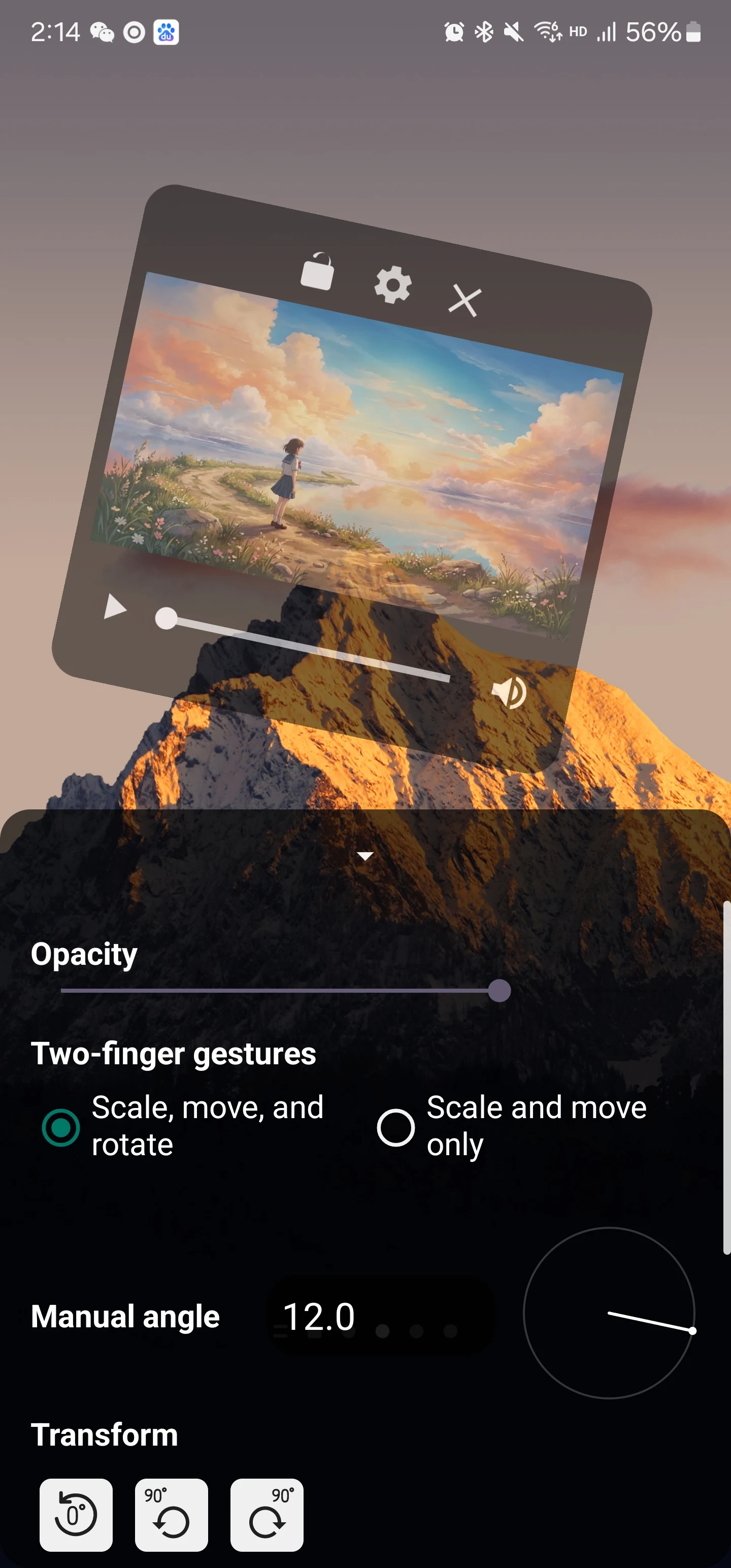 FloatPicTxt screenshot