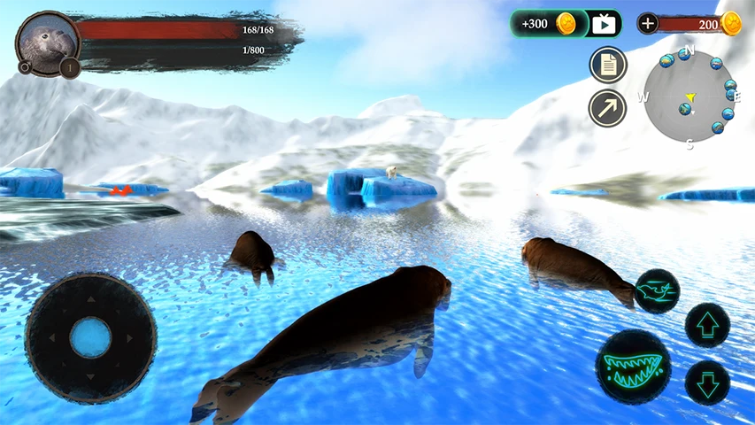 The Seal Elephant screenshot