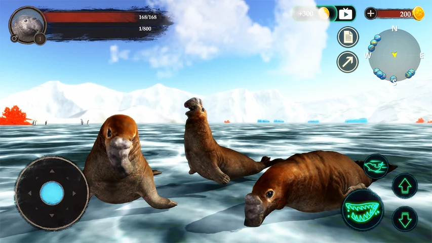 The Seal Elephant screenshot