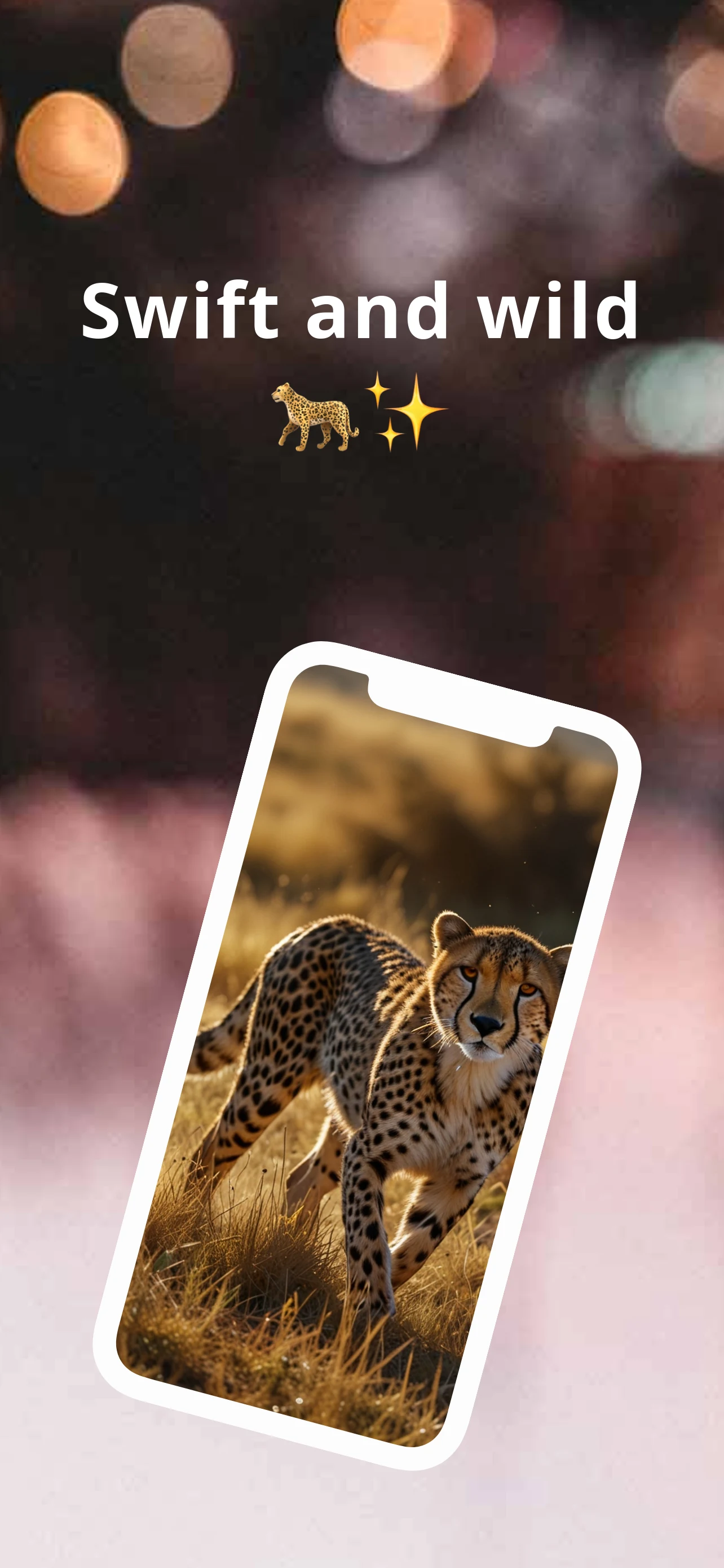 Cheetah Wallpapers HD screenshot