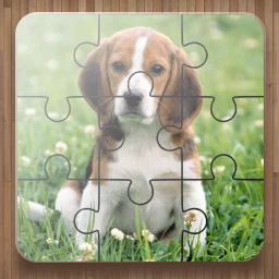 Dog Puzzle Games
