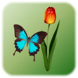 Butterfly Tap icon