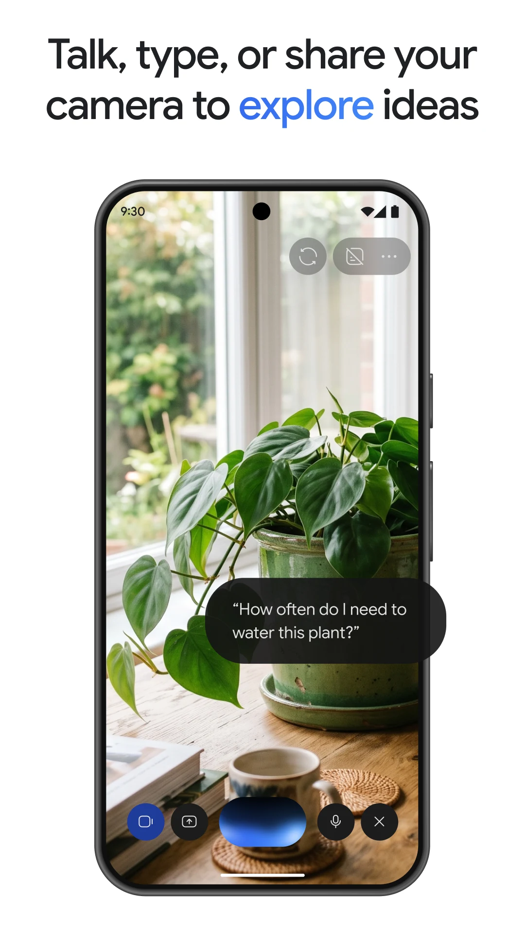 Google Gemini screenshot