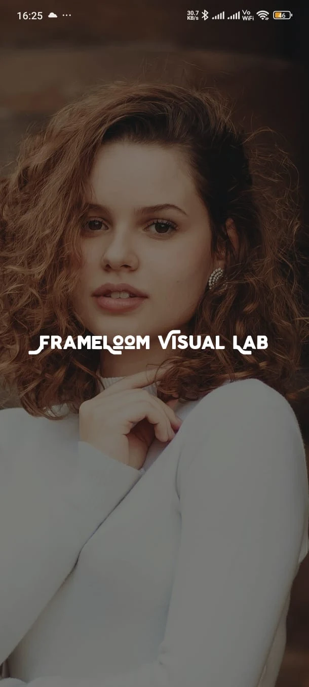 FrameLoom Visual Lab screenshot