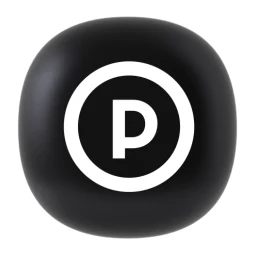 Icono de Patient Perfect