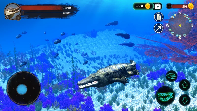The Crocodile screenshot