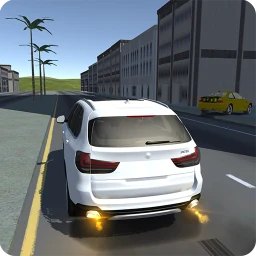 X5 M40 and A5 Simulator 图标