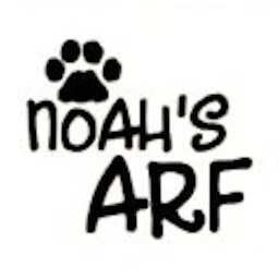 أيقونة Noah's Arf
