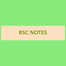 Biểu tượng BSC NOTES