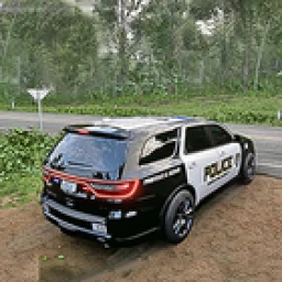 Значок US Police Prado Parking 3D