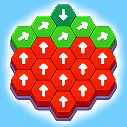 Hexa Out Puzzle
