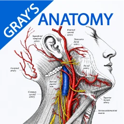Symbol von Gray's Anatomy - Anatomy Atlas