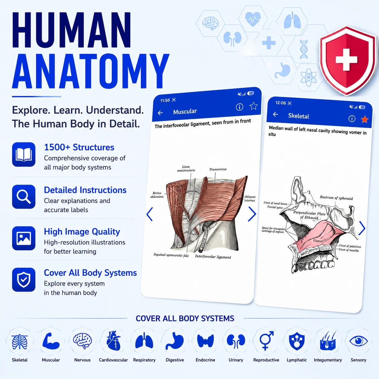 Gray's Anatomy - Anatomy Atlas screenshot