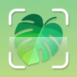 Symbol von Plantid: Plant Identifier