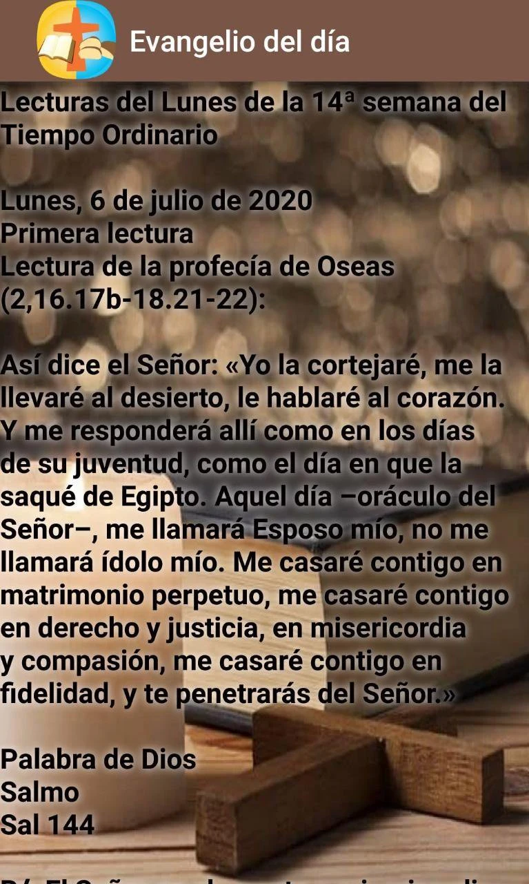 Evangelio del día screenshot