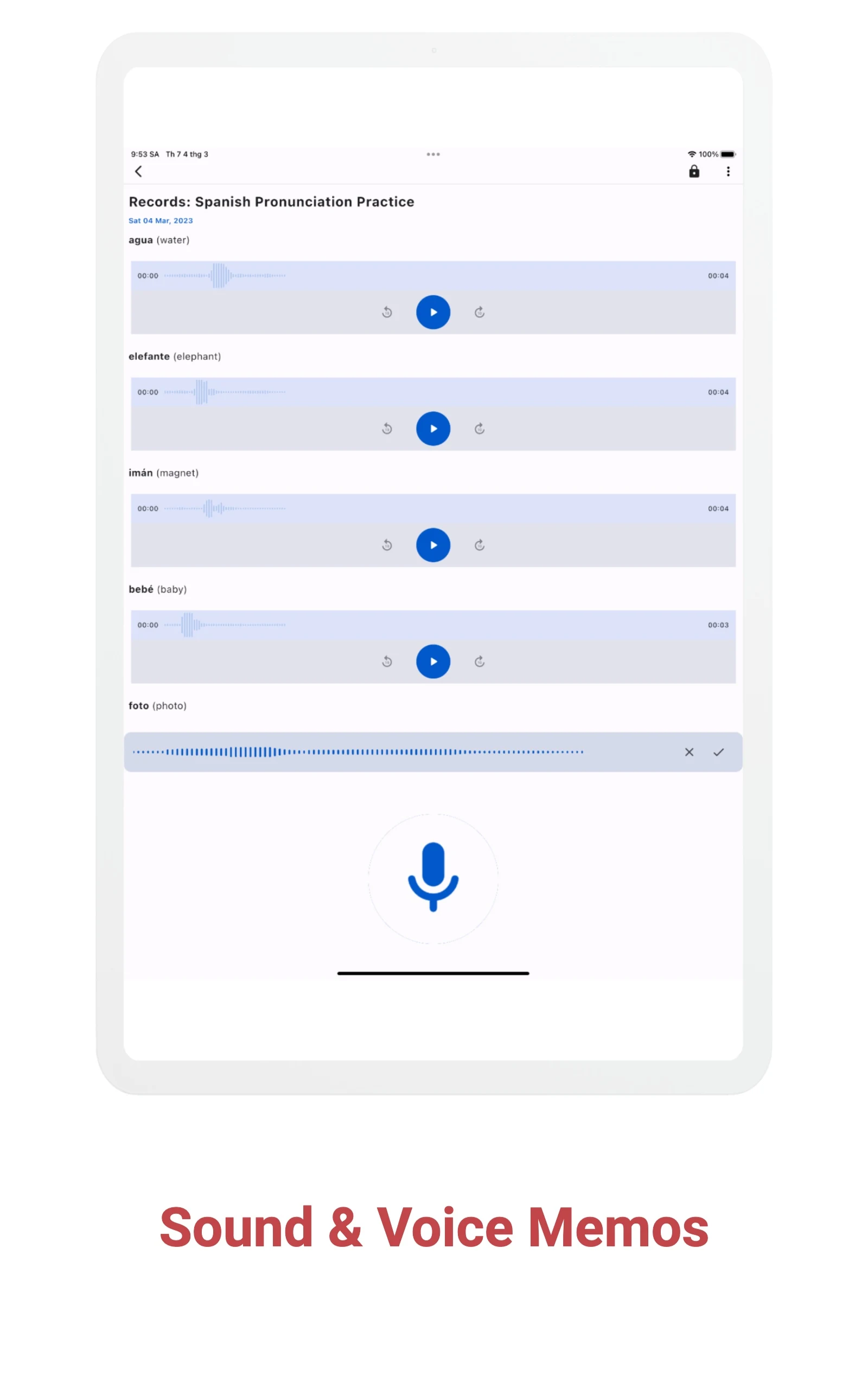 Voice Notes & Voice Memo + screenshot