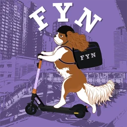 Biểu tượng Fyn